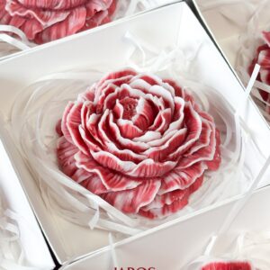 Khúc Ca Tình Đông